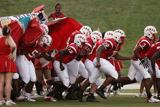 开云综合服务-青少年体育参与行为及其影响机制探讨，青少年体育参与行为及其影响机制探讨论文
