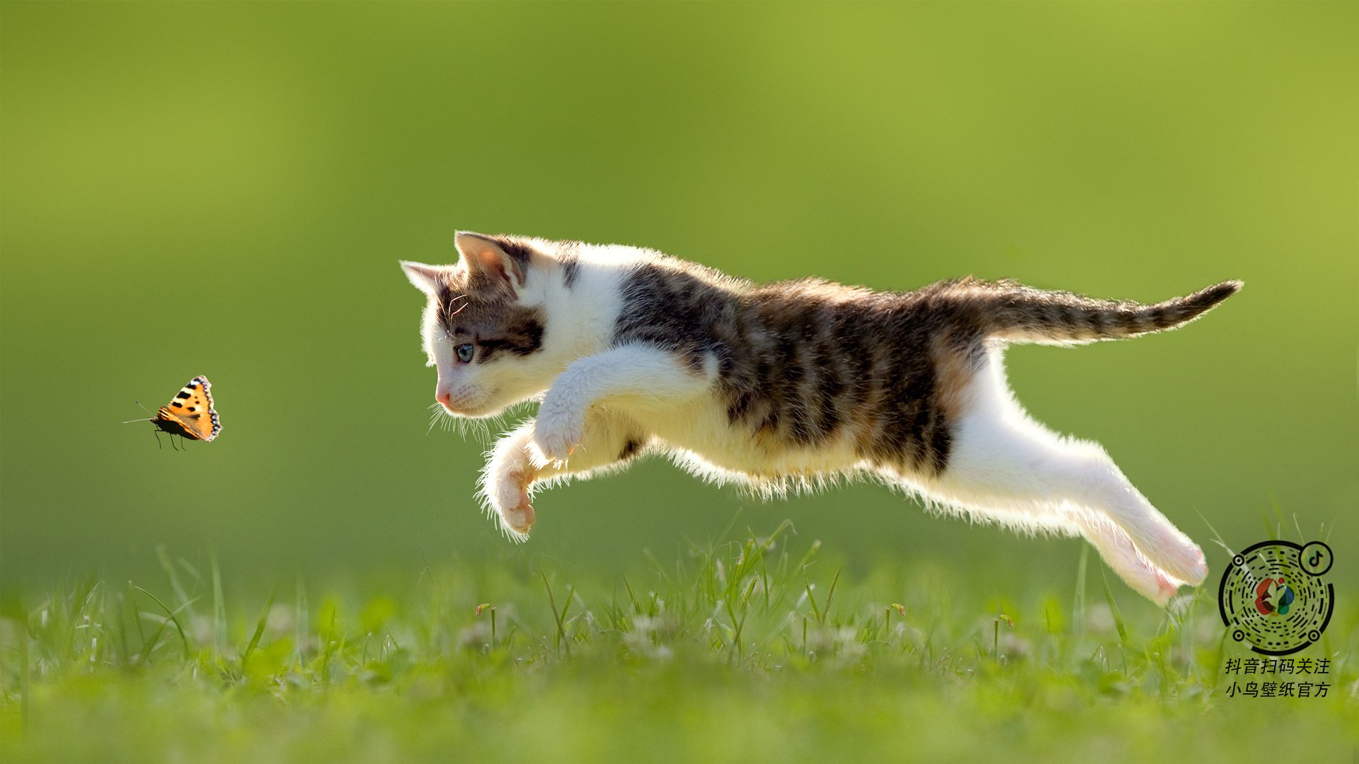 五大联赛是否更关注锋线球员防守时的前场压迫意愿，防守好的锋线球员