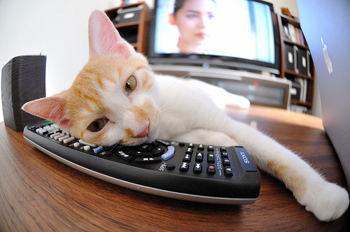 开云体育APP下载-体育新闻中心联合高校探索体育影像人才共育机制，体育产业人才培养