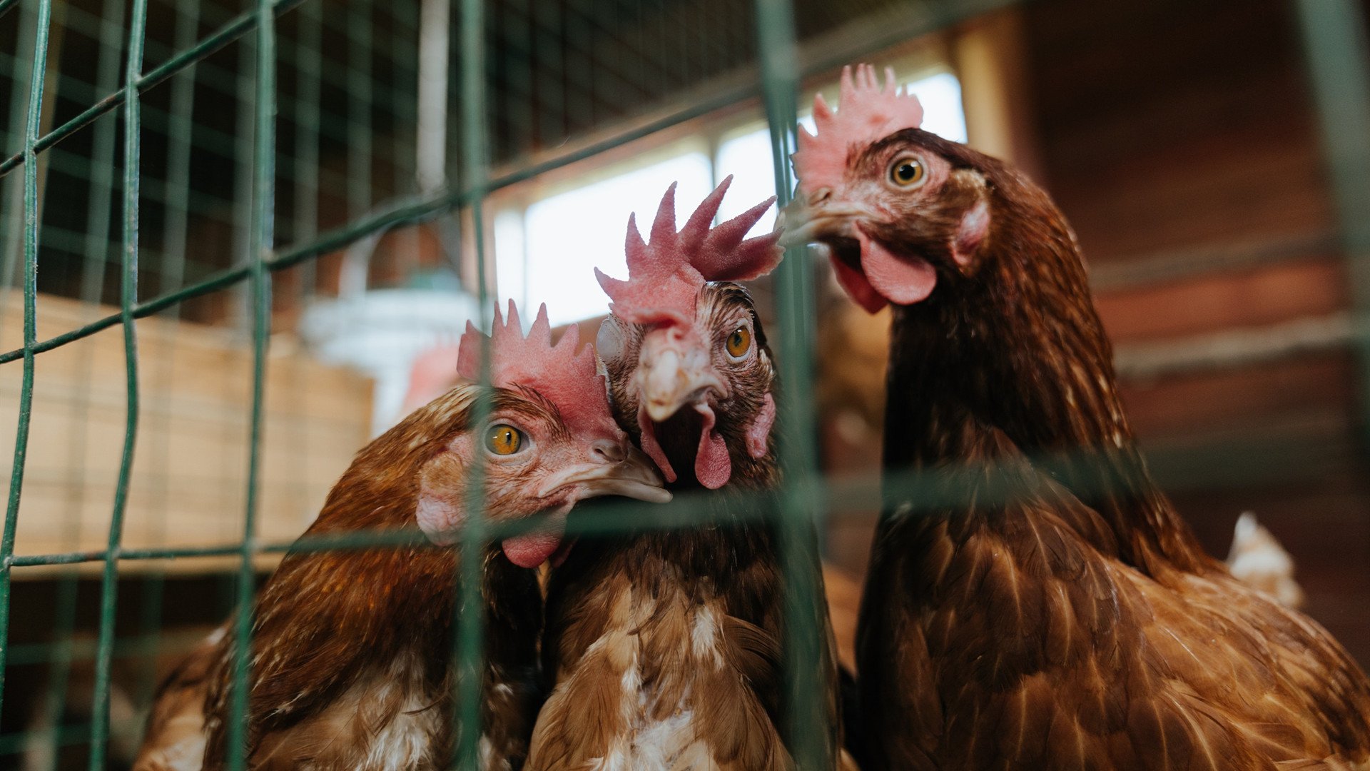 国际热身赛中国女足战平 球迷期待更好表现,国足热身赛战绩