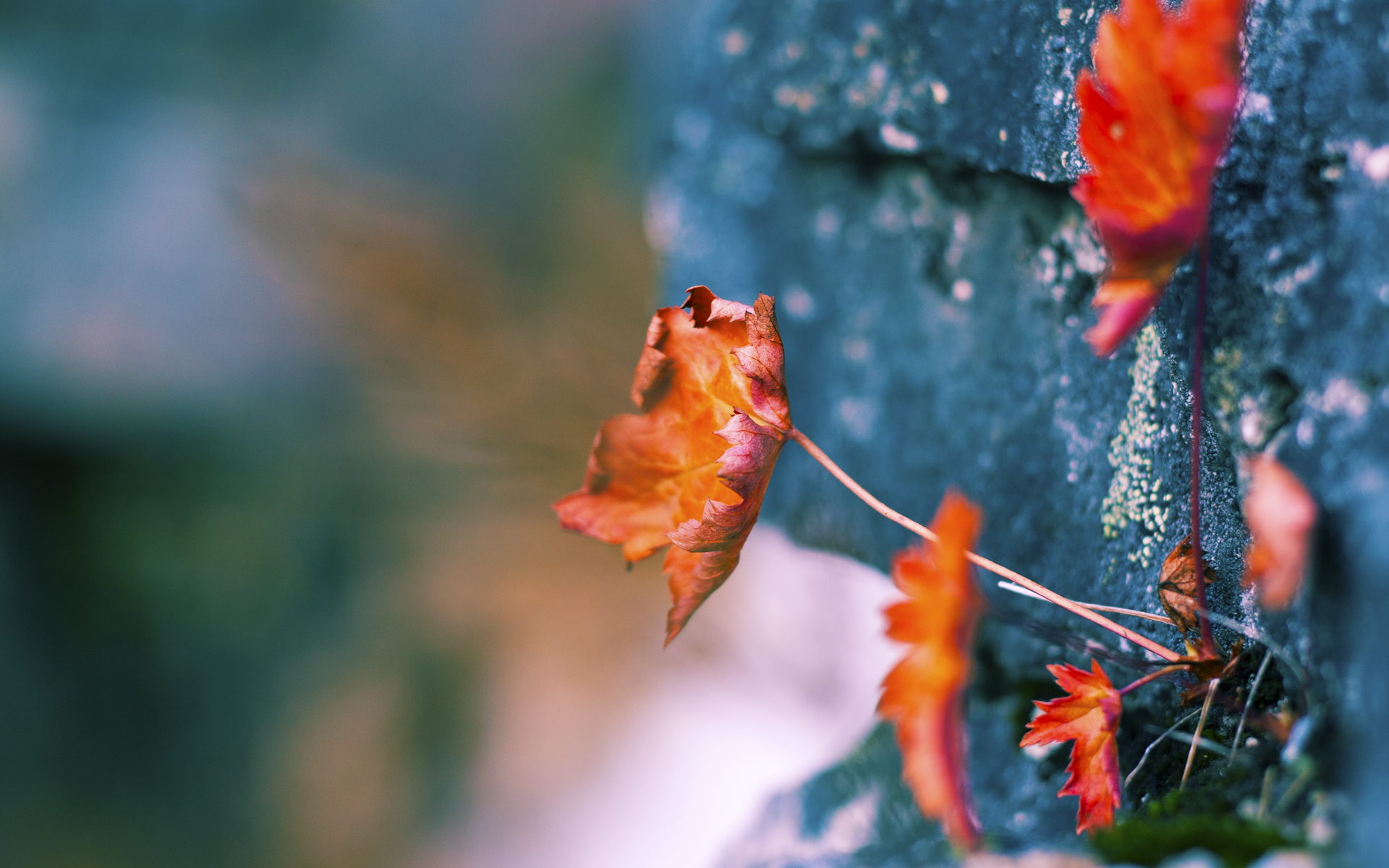 新赛季联赛规则加入饮水时间明确规定，联赛准备时间