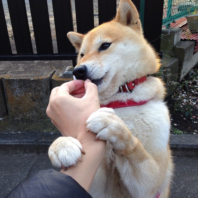 花样滑冰项目鼓励原创动作激发青年创意,花样滑冰运动会